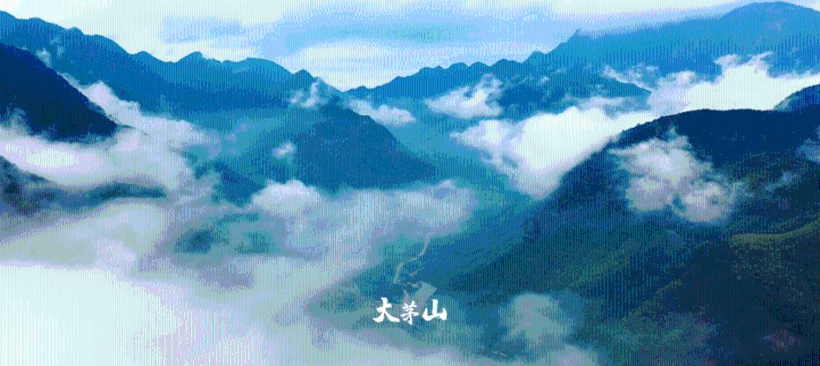 深度问答,畅所欲言——在美国至今45任总统中,论个人能力,前总统奥巴马到底处于什么水平?蜗牛问答平台