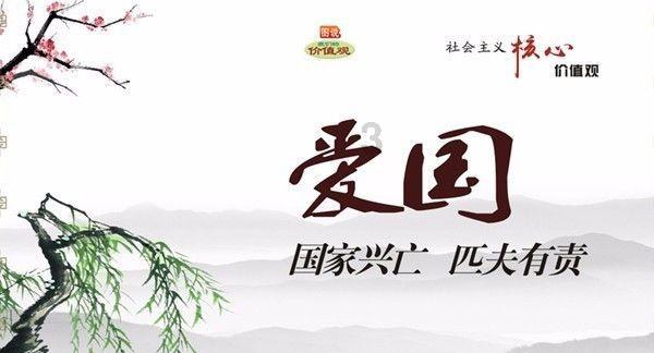 88影视